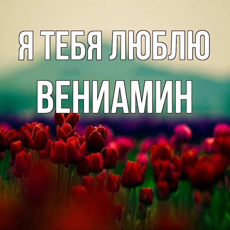 Картинка Я тебя люблю, Вениамин