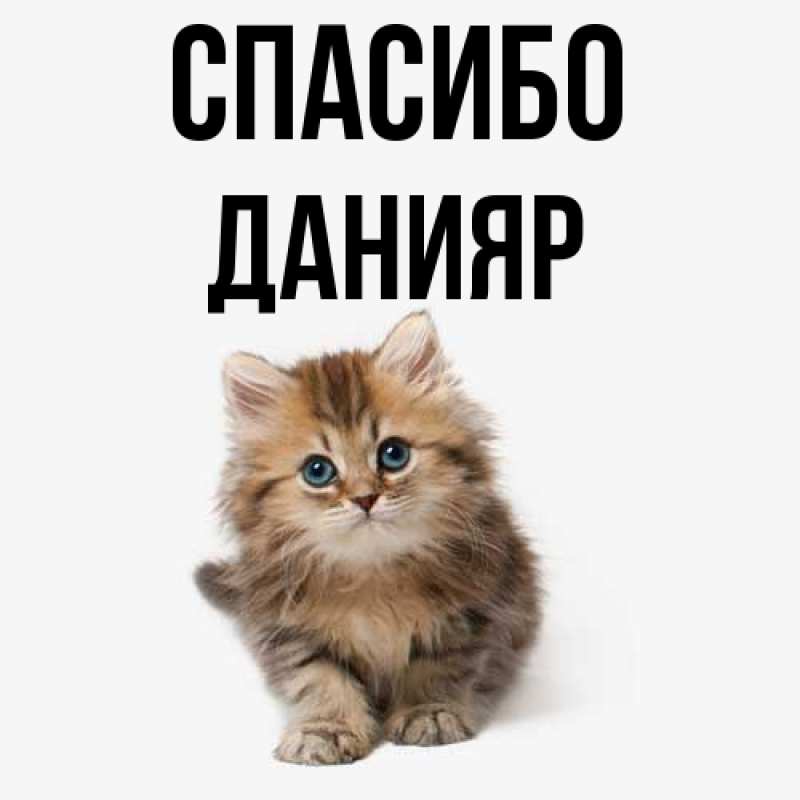 Картинка Спасибо, Данияр