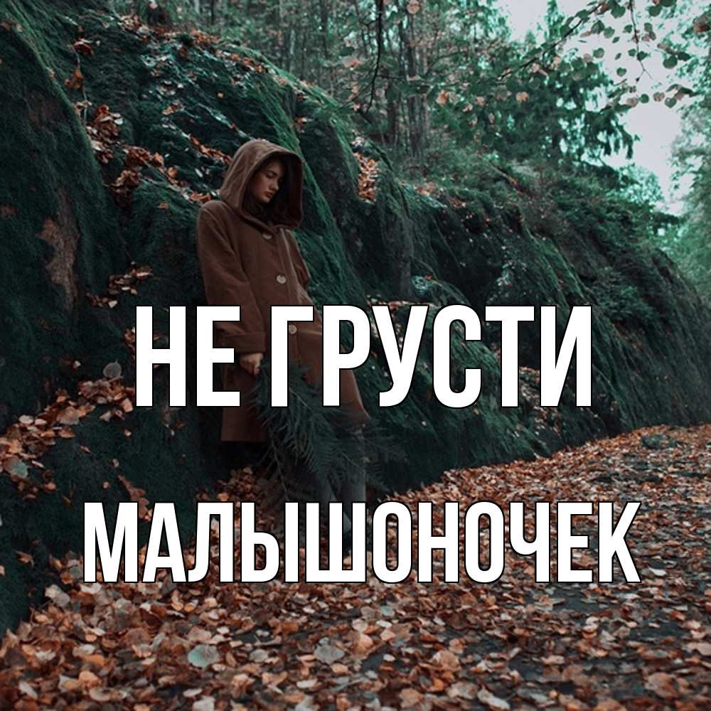 Открытка на каждый день с именем, Малышоночек Не грусти осенний лес Прикольная открытка с пожеланием онлайн скачать бесплатно 