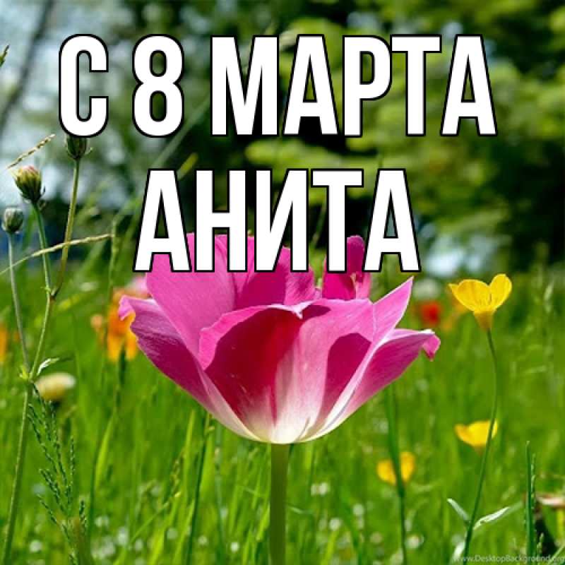 Картинка C 8 МАРТА, Анита