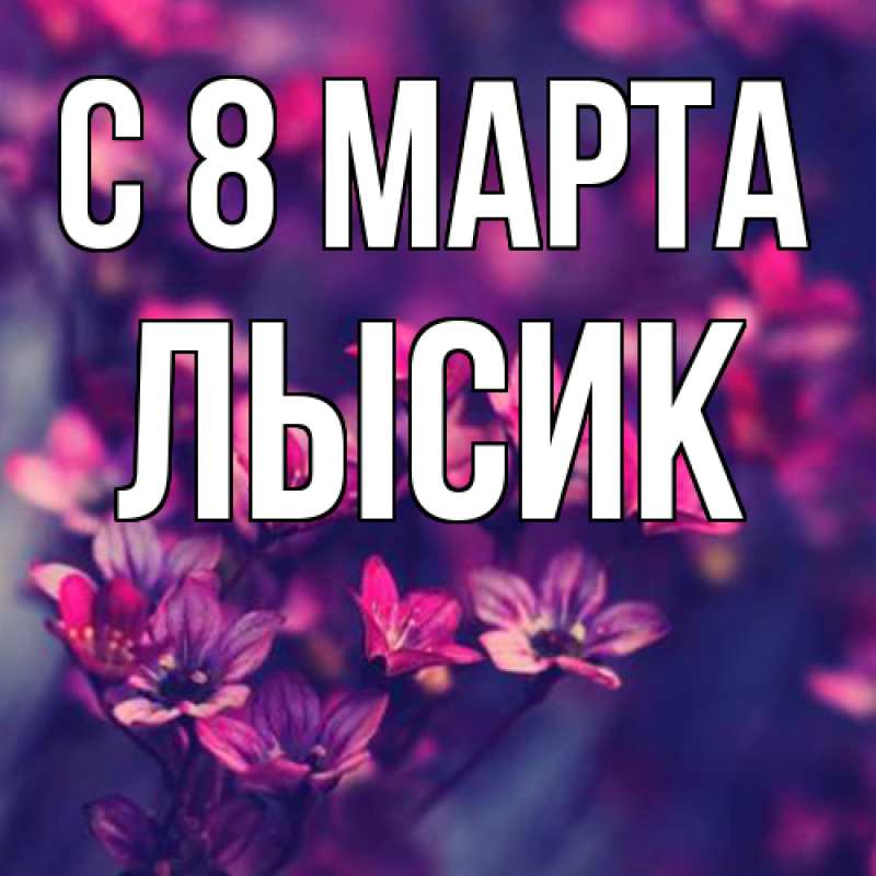 Картинка C 8 МАРТА, Лысик