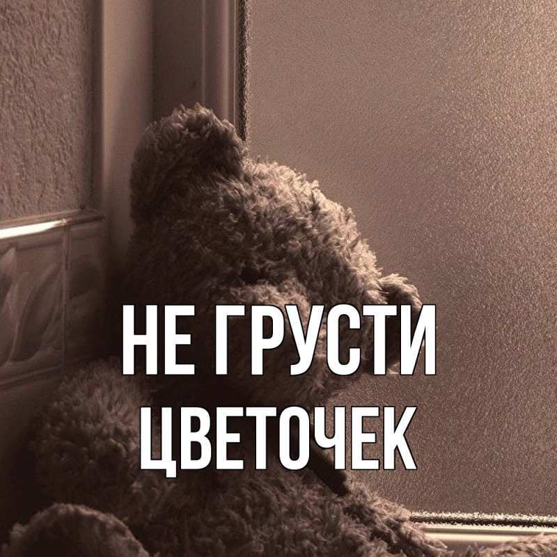 Картинка Не грусти, Цветочек