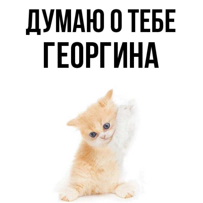 Картинка Думаю о тебе, Георгина