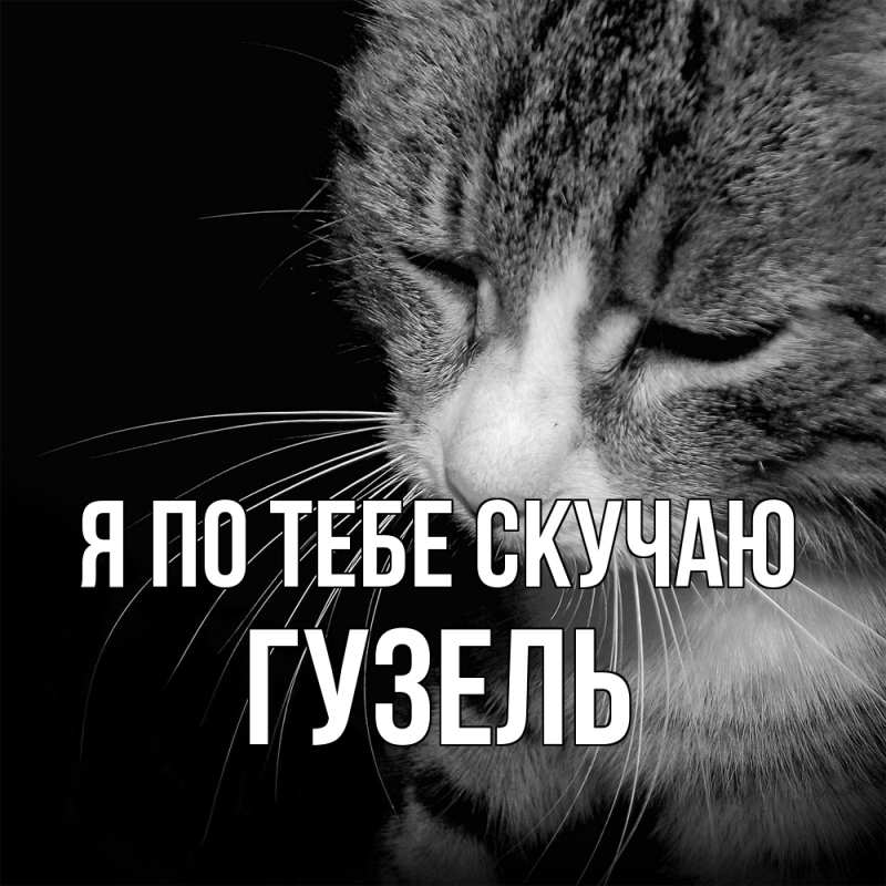 Картинка Я по тебе скучаю, Гузель