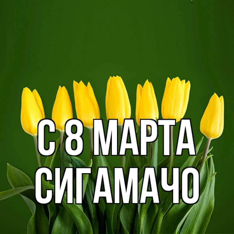 Картинка C 8 МАРТА, Сигамачо