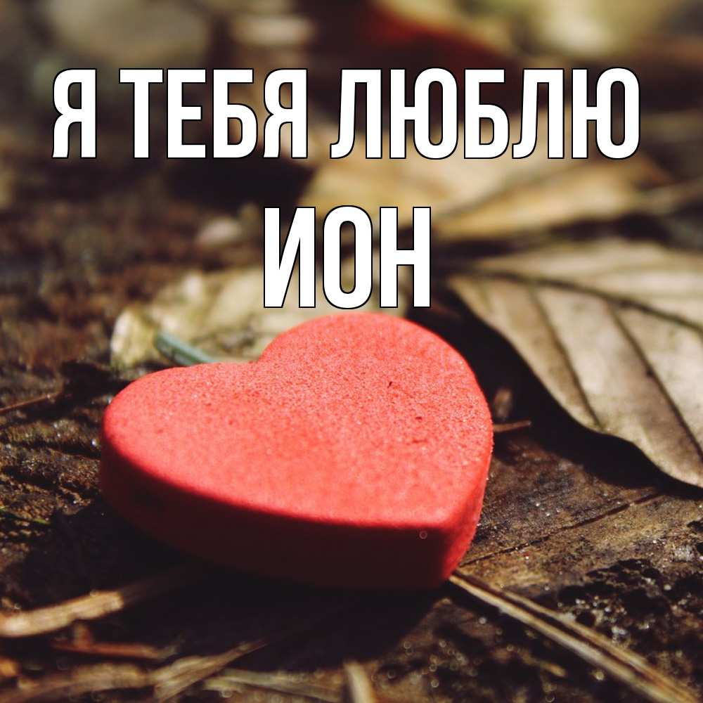 Открытка на каждый день с именем, Ион Я тебя люблю листья деревье 4 Прикольная открытка с пожеланием онлайн скачать бесплатно 