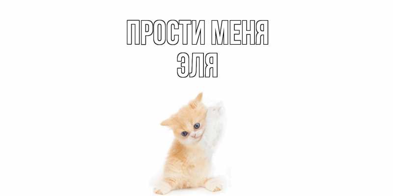 Картинка Прости меня, Эля