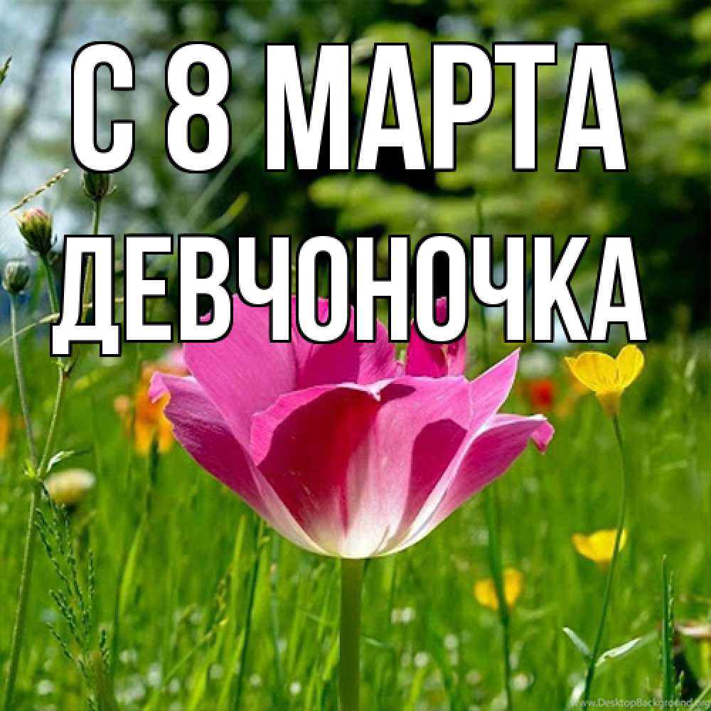 Открытка на каждый день с именем, девчоночка C 8 МАРТА полевые цветы Прикольная открытка с пожеланием онлайн скачать бесплатно 