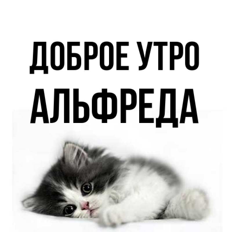 Картинка Доброе утро, Альфреда