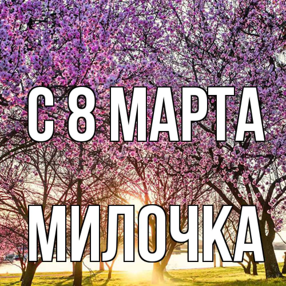 Открытка на каждый день с именем, Милочка C 8 МАРТА международный женский день Прикольная открытка с пожеланием онлайн скачать бесплатно 