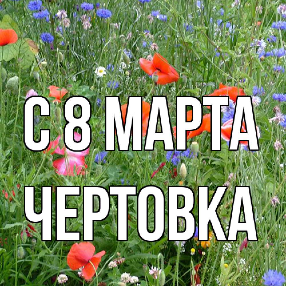 Открытка на каждый день с именем, Чертовка C 8 МАРТА международный женский день 4 Прикольная открытка с пожеланием онлайн скачать бесплатно 