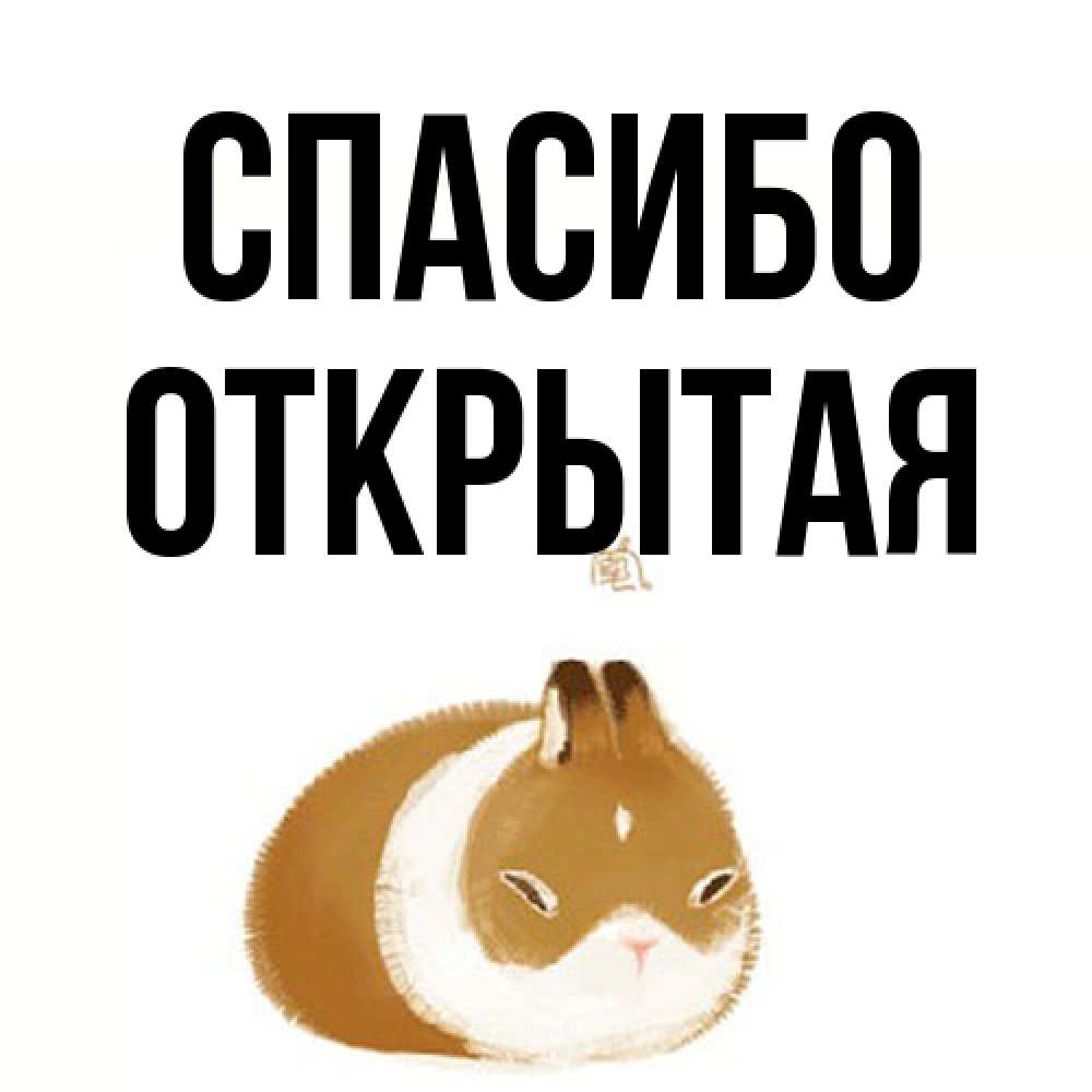 Открытка на каждый день с именем, открытая Спасибо коричнево белый домашний питомец Прикольная открытка с пожеланием онлайн скачать бесплатно 