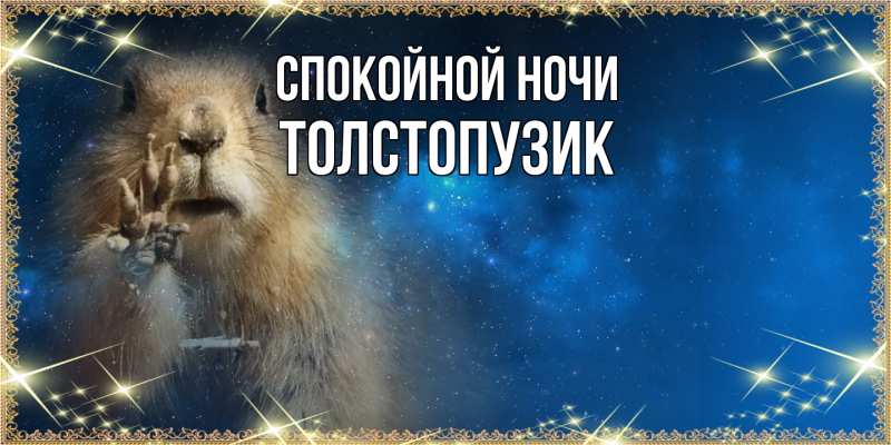 Картинка Спокойной ночи, Толстопузик