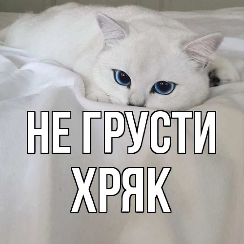 Картинка Не грусти, Хряк