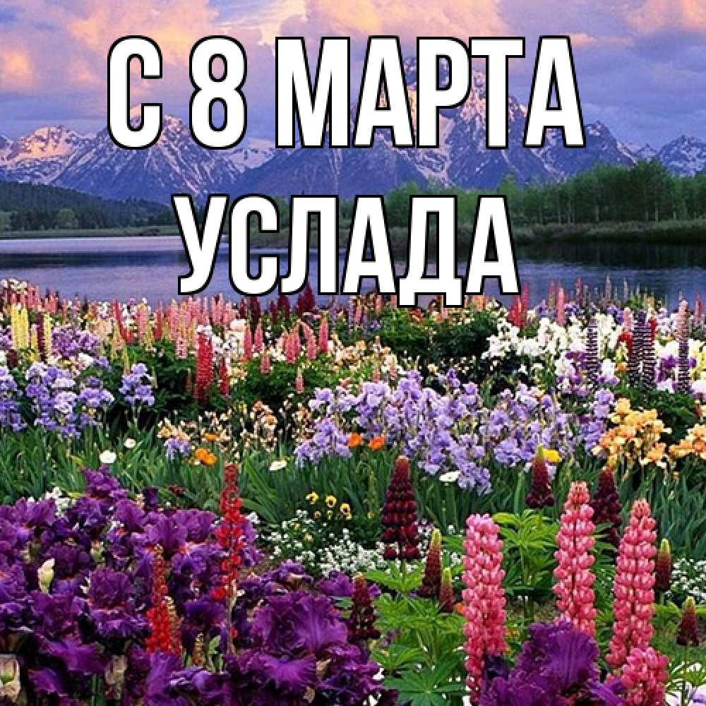 Открытка на каждый день с именем, услада C 8 МАРТА международный женский день Прикольная открытка с пожеланием онлайн скачать бесплатно 