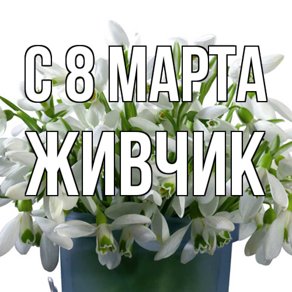 Открытка на каждый день с именем, Живчик C 8 МАРТА цветы к международному женскому дню Прикольная открытка с пожеланием онлайн скачать бесплатно 