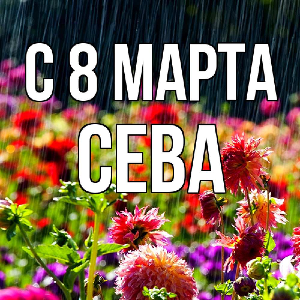 Открытка на каждый день с именем, Сева C 8 МАРТА цветы под дождиком к международному женскому дню Прикольная открытка с пожеланием онлайн скачать бесплатно 