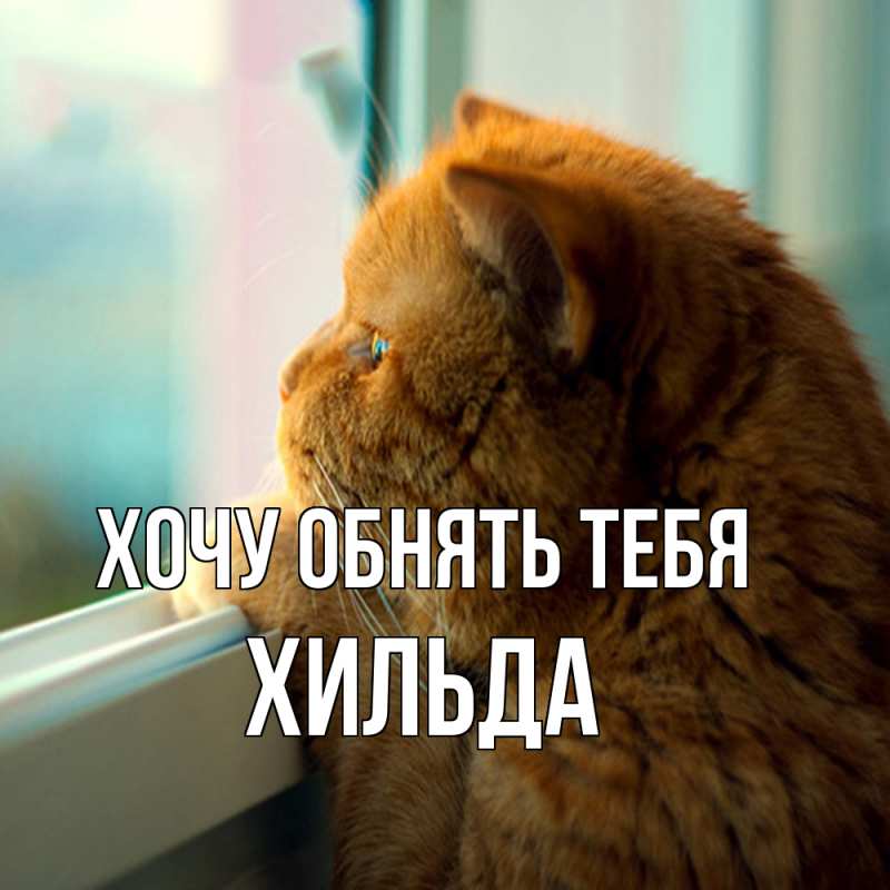 Картинка Хочу обнять тебя, Хильда