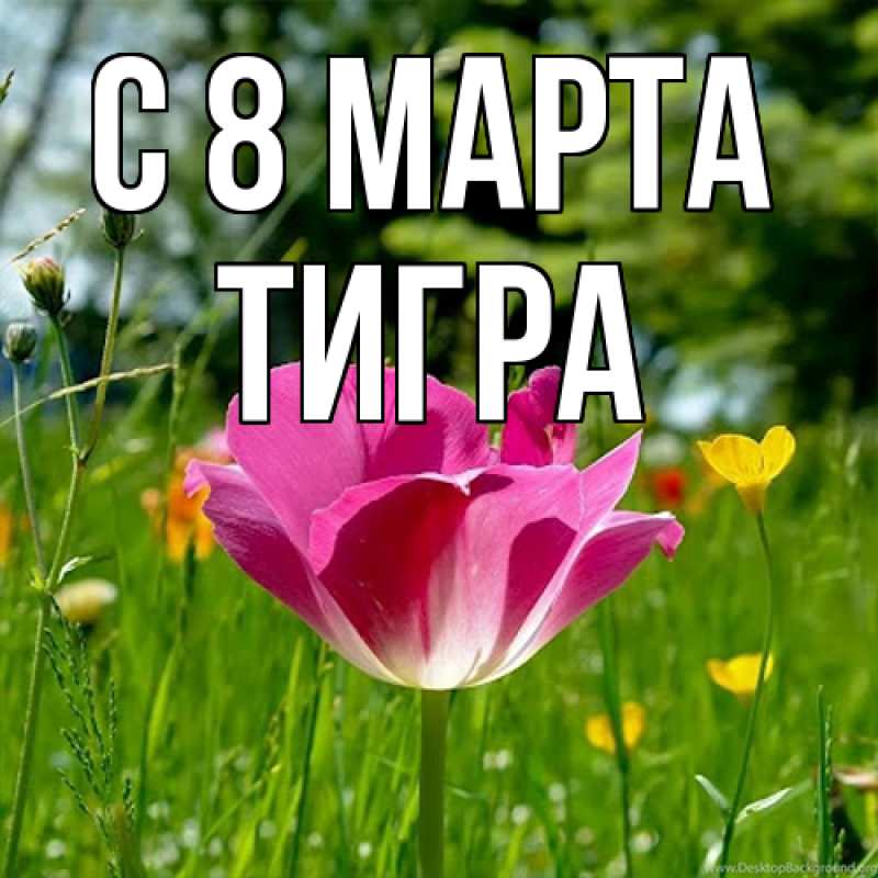Картинка C 8 МАРТА, Тигpа