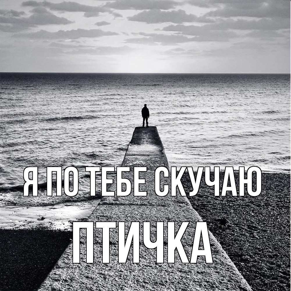 Открытка на каждый день с именем, Птичка Я по тебе скучаю скучашки Прикольная открытка с пожеланием онлайн скачать бесплатно 
