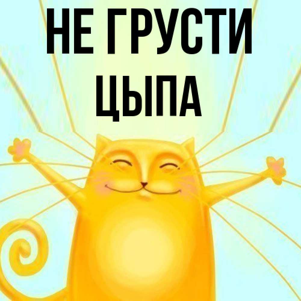 Открытка на каждый день с именем, Цыпа Не грусти обнимашки усатые Прикольная открытка с пожеланием онлайн скачать бесплатно 