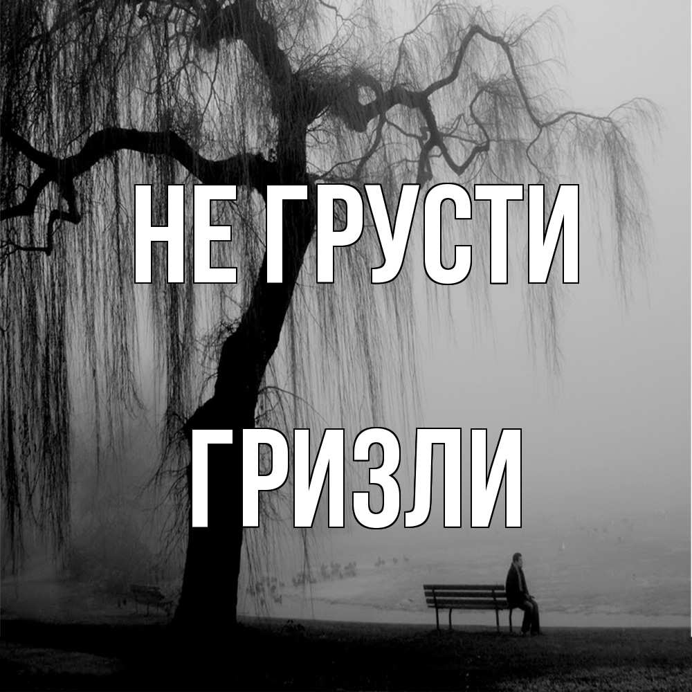 Открытка на каждый день с именем, Гризли Не грусти висящие ветки дерева и лавочка под деревом Прикольная открытка с пожеланием онлайн скачать бесплатно 