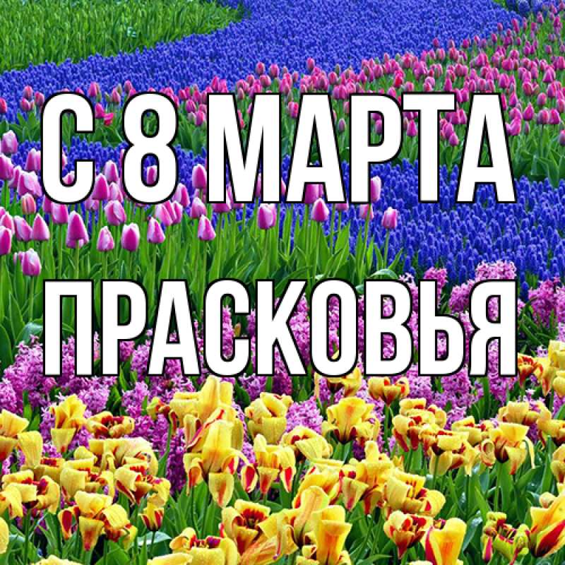Картинка C 8 МАРТА, Прасковья