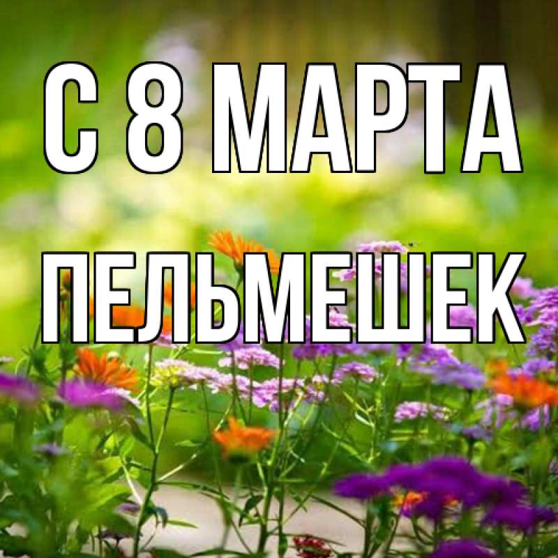Картинка C 8 МАРТА, пельмешек