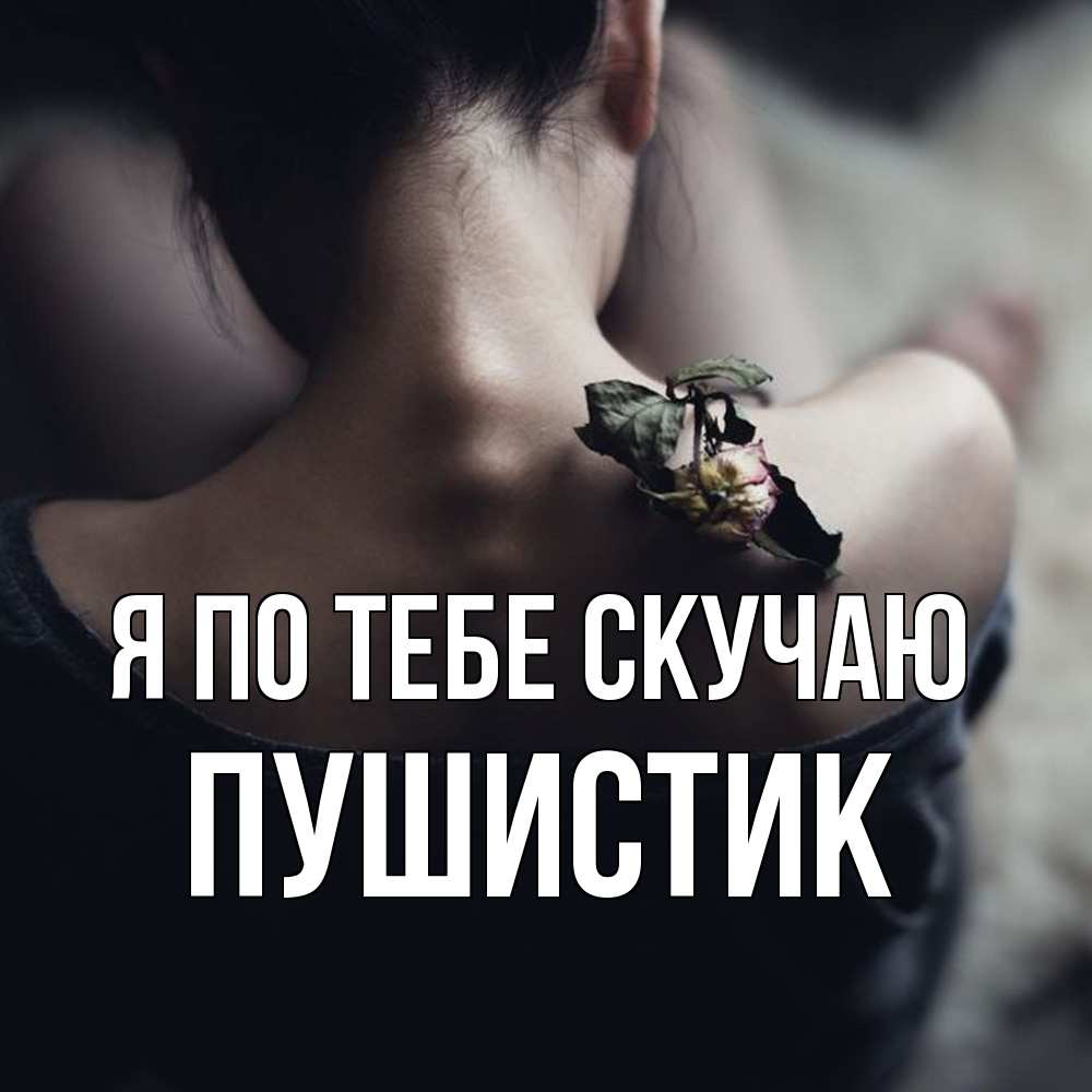 Открытка на каждый день с именем, Пушистик Я по тебе скучаю засох цветок Прикольная открытка с пожеланием онлайн скачать бесплатно 