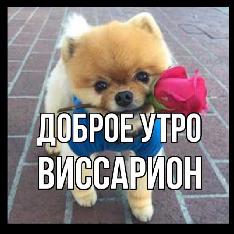 Картинка Доброе утро, Виссарион