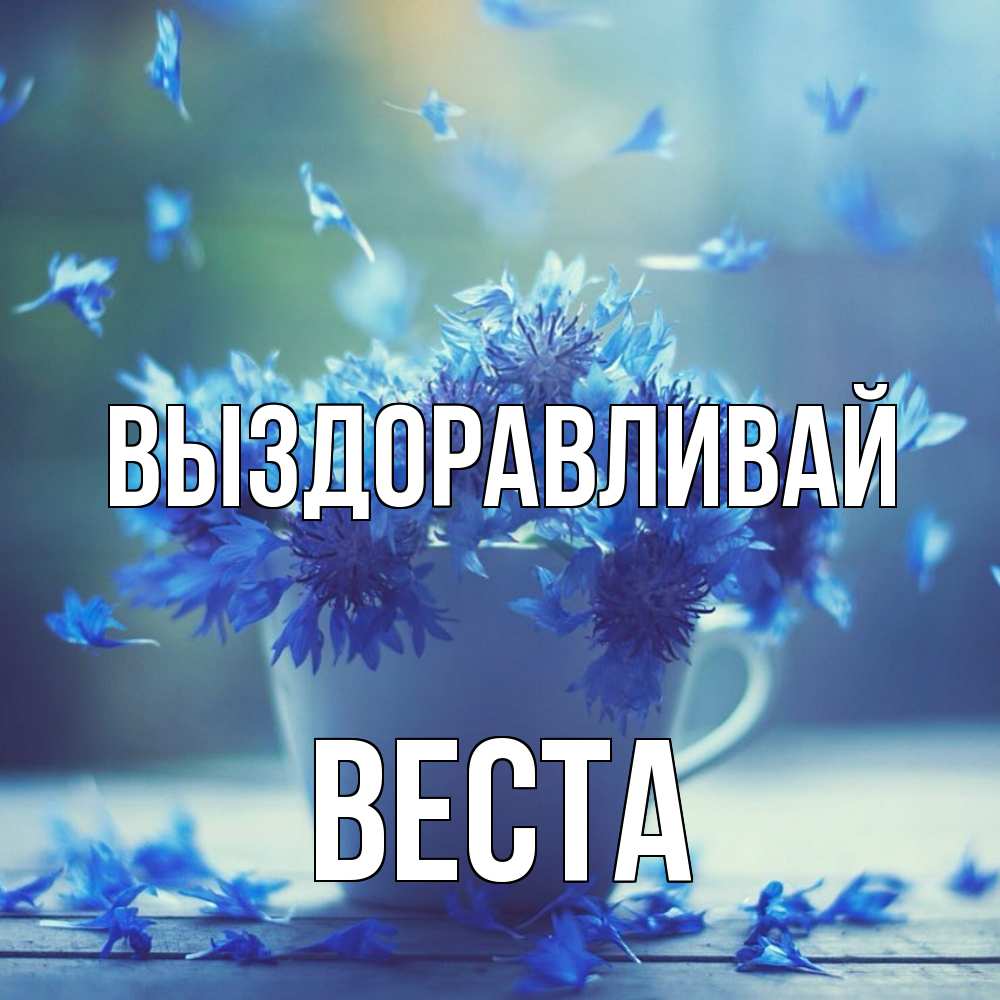 Открытка на каждый день с именем, Веста Выздоравливай кружка с зельем и цветами Прикольная открытка с пожеланием онлайн скачать бесплатно 