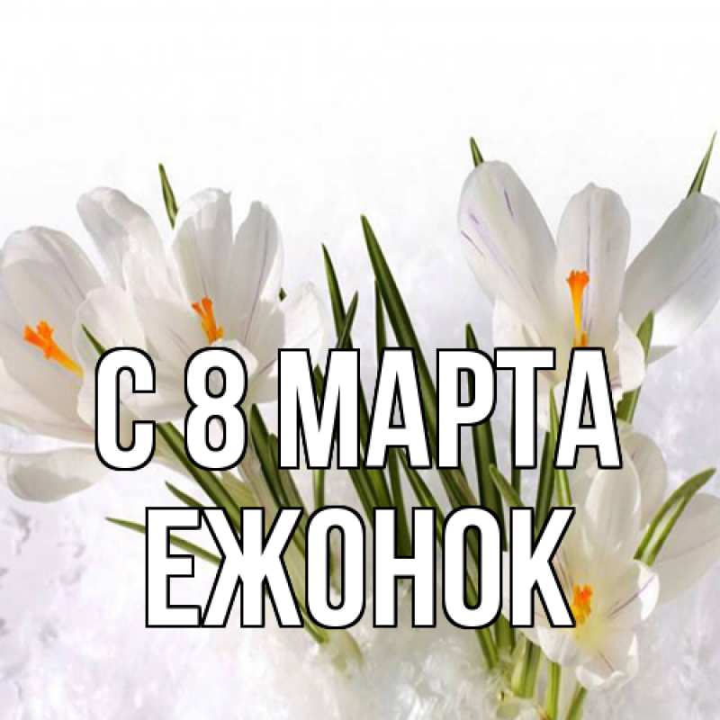 Картинка C 8 МАРТА, Ежонок