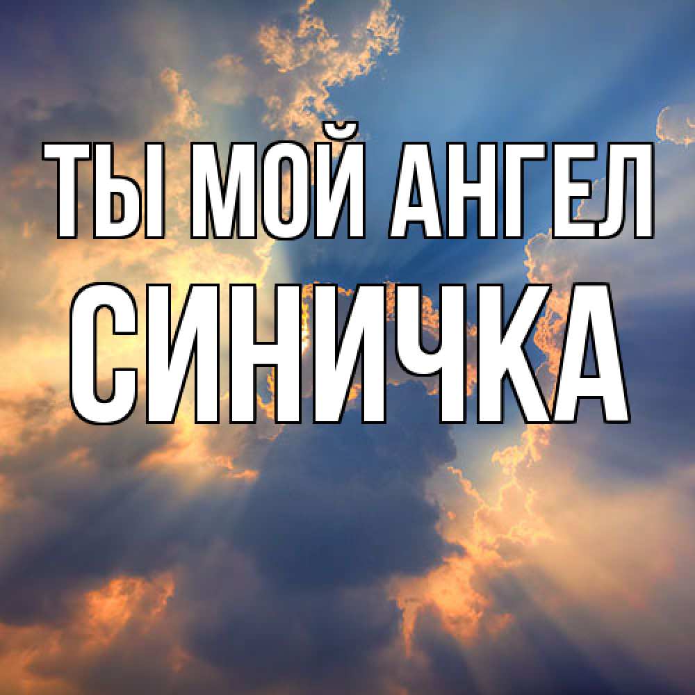 Открытка на каждый день с именем, Синичка Ты мой ангел ангельский свет сквозь облака Прикольная открытка с пожеланием онлайн скачать бесплатно 