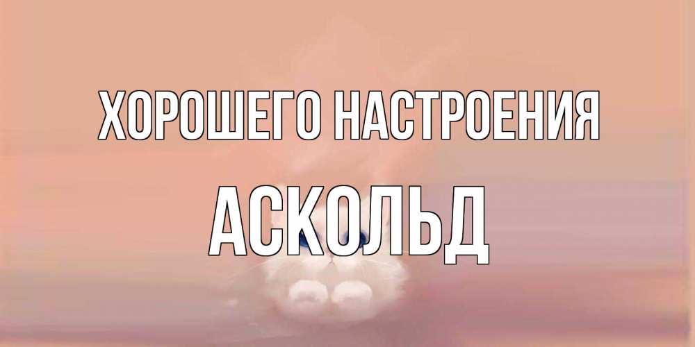Открытка на каждый день с именем, Аскольд Хорошего настроения кошка Прикольная открытка с пожеланием онлайн скачать бесплатно 