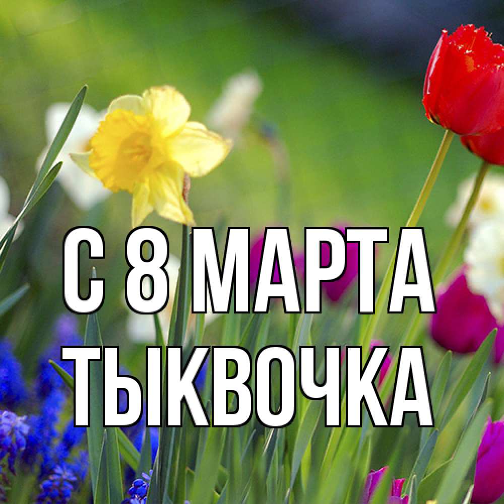 Открытка на каждый день с именем, тыквочка C 8 МАРТА международный женский день 3 Прикольная открытка с пожеланием онлайн скачать бесплатно 