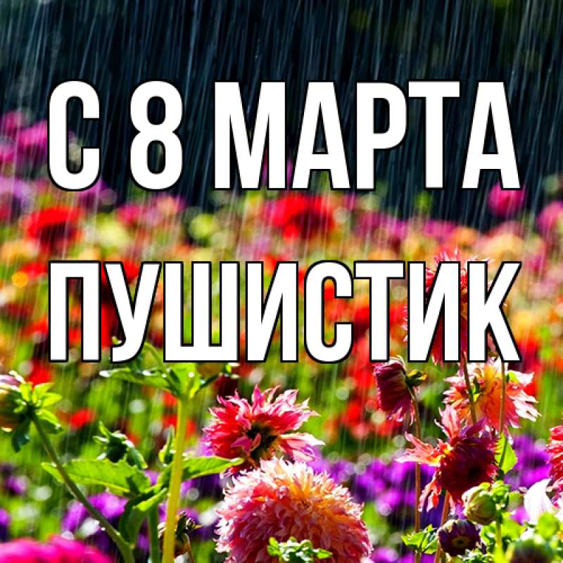 Картинка C 8 МАРТА, Пушистик