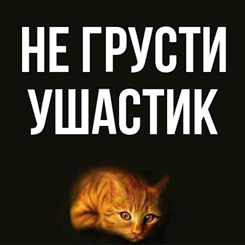 Картинка Не грусти, Ушастик