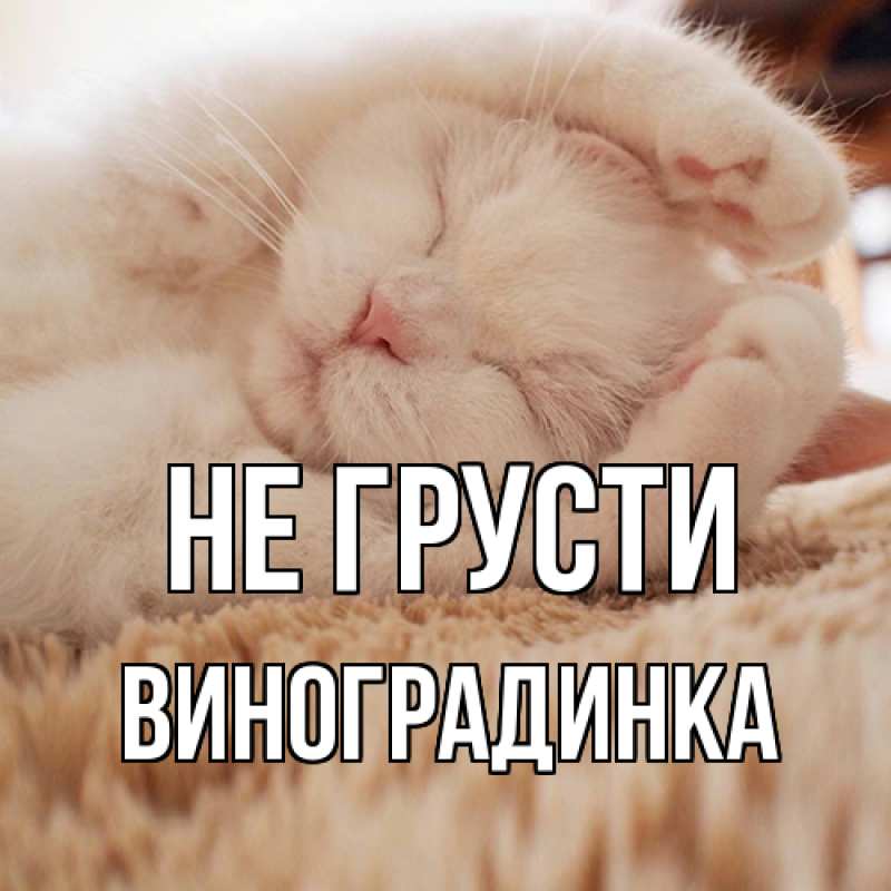 Картинка Не грусти, виноградинка