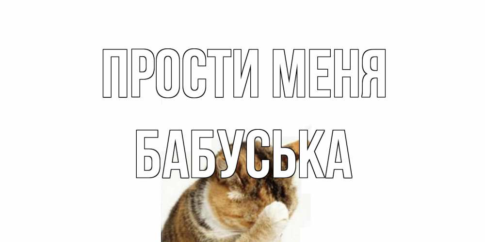 Открытка на каждый день с именем, Бабуська Прости меня кот Прикольная открытка с пожеланием онлайн скачать бесплатно 