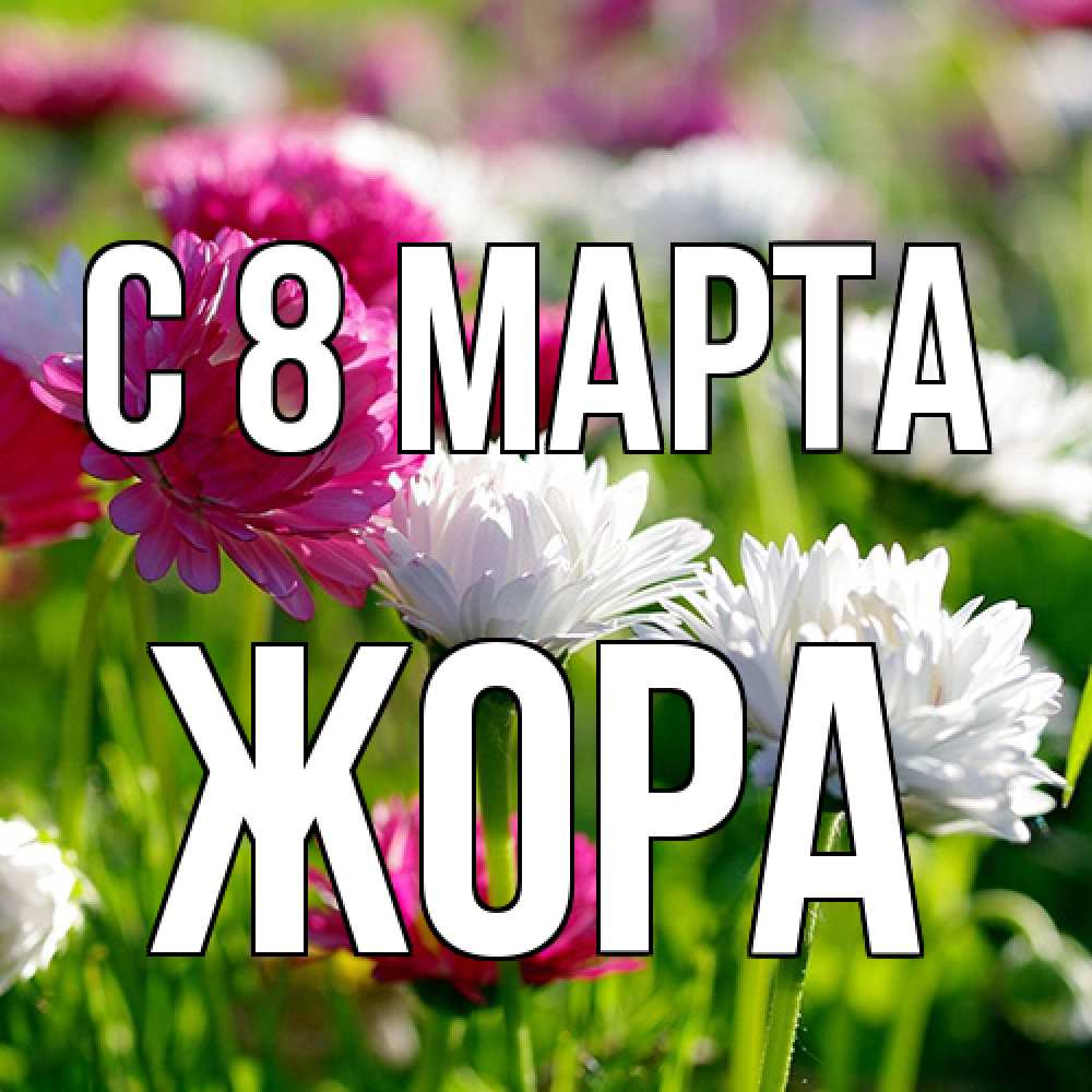 Открытка на каждый день с именем, Жора C 8 МАРТА международный женский день 1 Прикольная открытка с пожеланием онлайн скачать бесплатно 