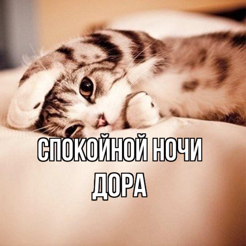 Картинка Спокойной ночи, Дора