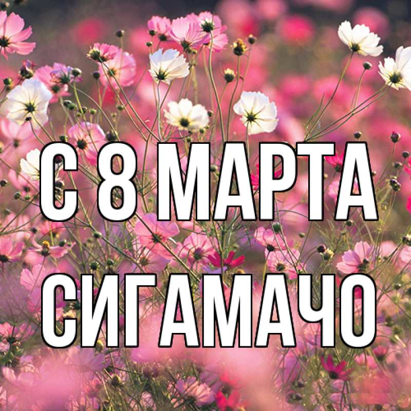 Картинка C 8 МАРТА, Сигамачо