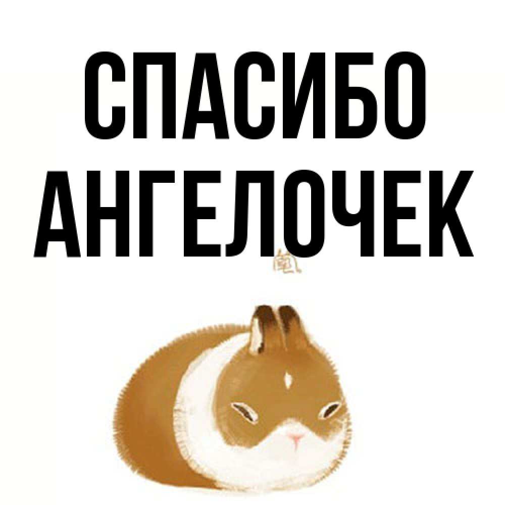 Открытка на каждый день с именем, Ангелочек Спасибо коричнево белый домашний питомец Прикольная открытка с пожеланием онлайн скачать бесплатно 
