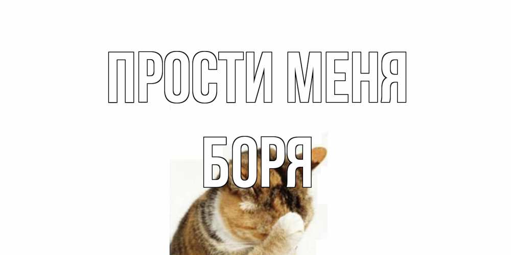 Открытка на каждый день с именем, Боря Прости меня кот Прикольная открытка с пожеланием онлайн скачать бесплатно 