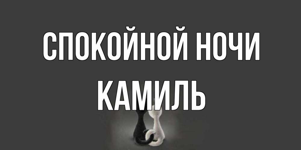 Открытка на каждый день с именем, Камиль Спокойной ночи коты Прикольная открытка с пожеланием онлайн скачать бесплатно 