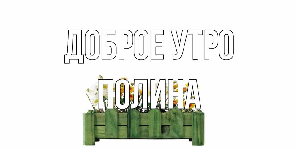 Открытка на каждый день с именем, Полина Доброе утро цветы Прикольная открытка с пожеланием онлайн скачать бесплатно 
