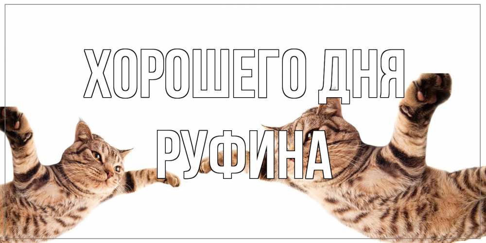 Открытка на каждый день с именем, Руфина Хорошего дня хорошего дня Прикольная открытка с пожеланием онлайн скачать бесплатно 