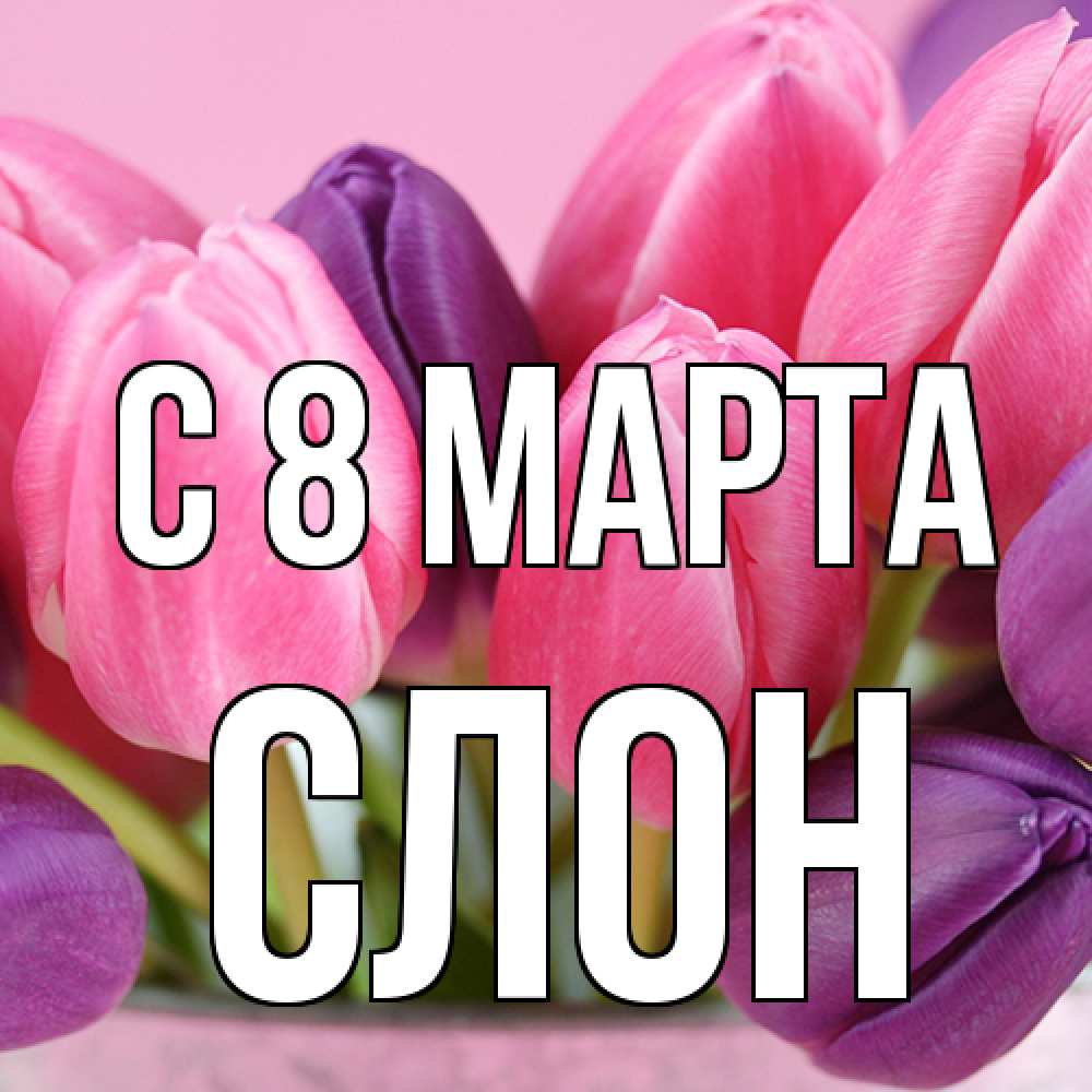 Открытка на каждый день с именем, Слон C 8 МАРТА маме 1 Прикольная открытка с пожеланием онлайн скачать бесплатно 