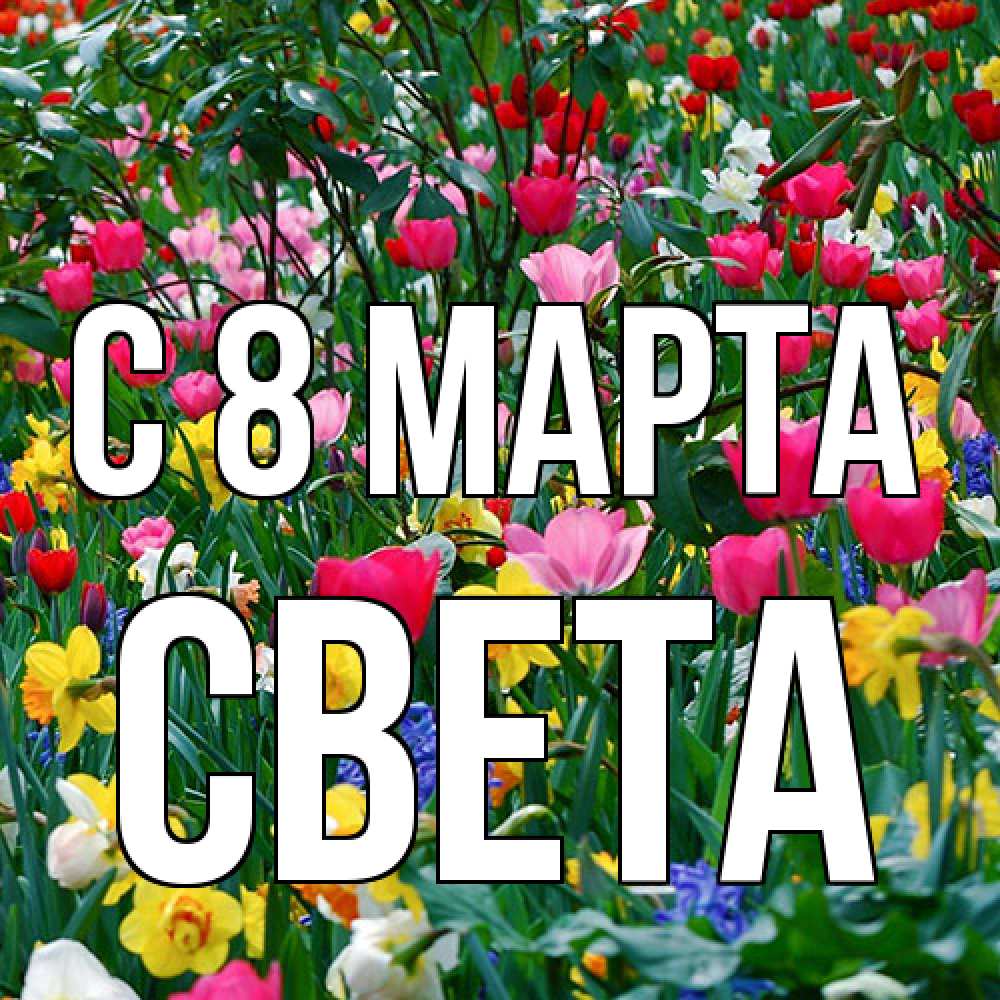 Открытка на каждый день с именем, Света C 8 МАРТА с международным женским днем поздравления для женщины Прикольная открытка с пожеланием онлайн скачать бесплатно 
