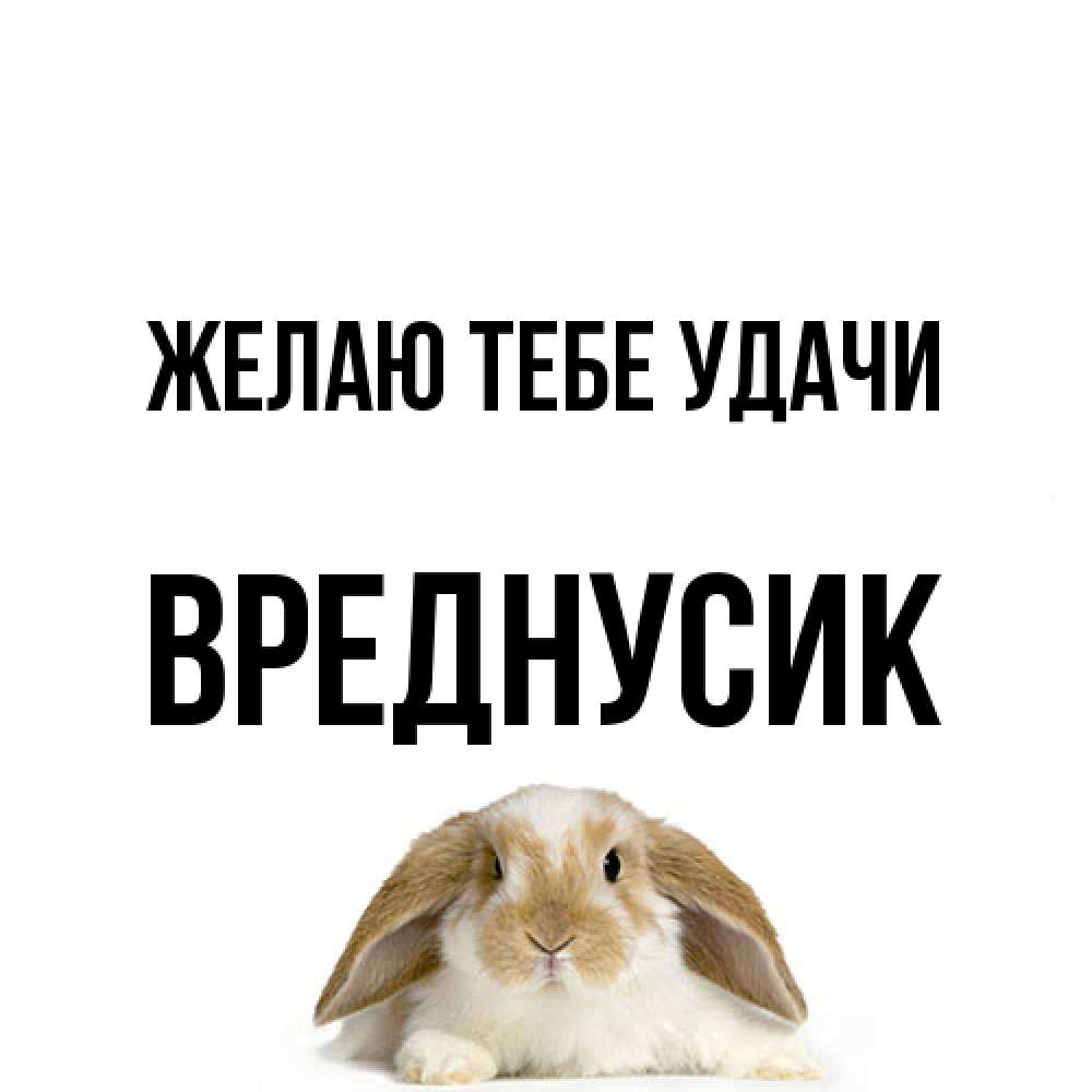 Открытка на каждый день с именем, Вреднусик Желаю тебе удачи открытки с произвольным текстом который можно вставить в открытку и создать ее самостоятельно бесплатно онлайн Прикольная открытка с пожеланием онлайн скачать бесплатно 